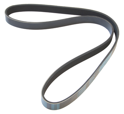 MAPCO 261155 V-Ribbed Belt