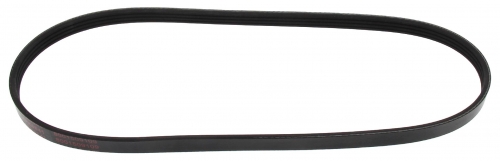 MAPCO 240841 V-Ribbed Belt