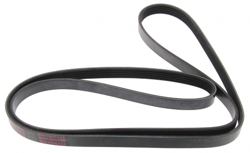 MAPCO 251815 V-Ribbed Belt