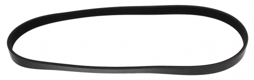 MAPCO 250855 V-Ribbed Belt