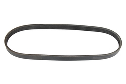 MAPCO 250770 V-Ribbed Belt