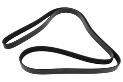 MAPCO 261980 V-Ribbed Belt