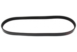 MAPCO 250860 V-Ribbed Belt