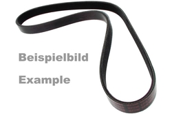 MAPCO 261030 V-Ribbed Belt