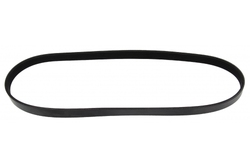 MAPCO 250925 V-Ribbed Belt