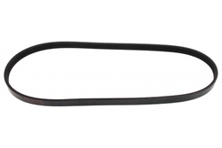 MAPCO 240841 V-Ribbed Belt