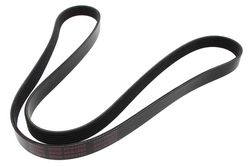MAPCO 261560 V-Ribbed Belt